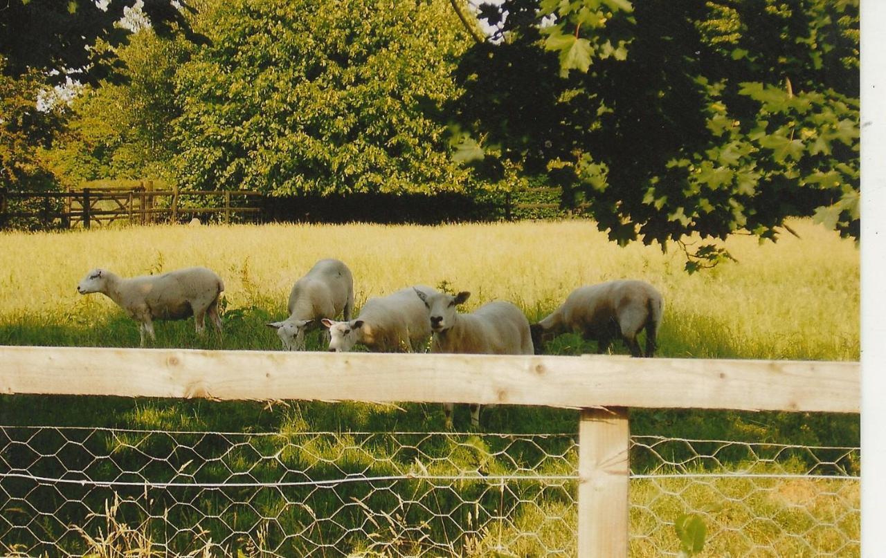 Bank Farm Cottages Nantwich Εξωτερικό φωτογραφία